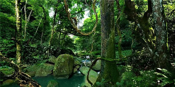 瀘古高速服務(wù)區(qū)及周邊地塊城市設(shè)計競賽，邀您參加
