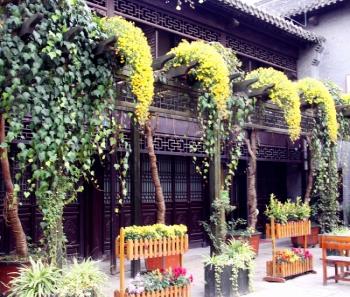 揚(yáng)州今年新增11萬(wàn)平米“空中綠地”