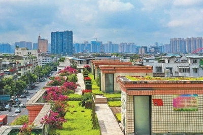成都天府新區(qū)：讓公園城市有機(jī)生長(zhǎng)
