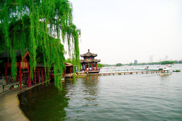 為城市綠化劃道線，濟(jì)南綠線管理辦法征求意見(jiàn)