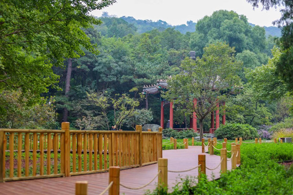 北京香山公園設(shè)立首個(gè)古樹(shù)保護(hù)示范區(qū)