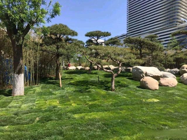 推動(dòng)綠地開放共享 河北去年新建成口袋公園166個(gè)