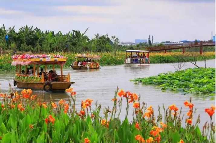 廣東：濕地公園活動不斷上線 濕地旅游持續(xù)升溫