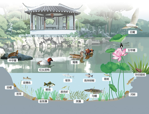 蘇州園林，何以展現(xiàn)生態(tài)意境？